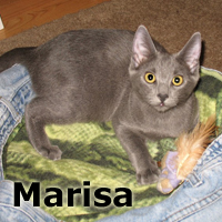 Adopt Marisa