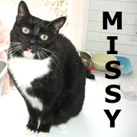 Adopt Missy