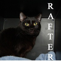 Adopt Rafter