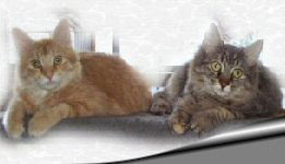 Hansel & Gretal's Happy Story