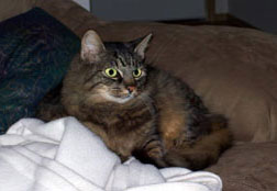 Diesel's Happy Story