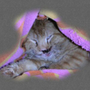 We didn't have the chance to name this one